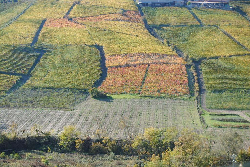 Agriturismo I Grappoli Serralunga d'Alba Εξωτερικό φωτογραφία