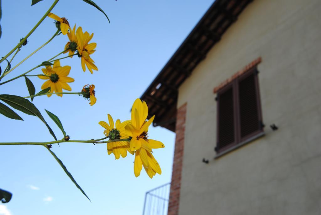Agriturismo I Grappoli Serralunga d'Alba Εξωτερικό φωτογραφία